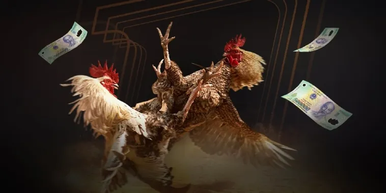 Trải Nghiệm Đá Gà Cado888 Sống Động Như Tại Trường Đấu