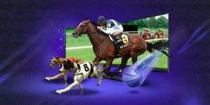 Chinh Phục Trường Đua Với Cá Cược Đua Ngựa Cado888